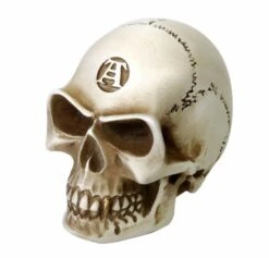 Skull Manual Gear Shift Knob — Inacoma -Inacoma Stores 1