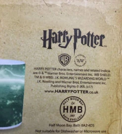 Harry Potter - Voldemort Heat Changing Mug — Inacoma -Inacoma Stores 50273C4A DA8A 4866 85CB 00552381BC31