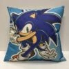 Sonic - Canvas Pillow — Inacoma