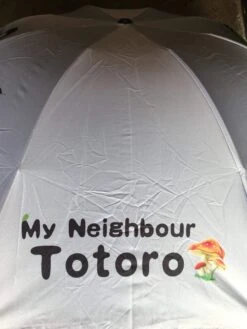 My Neighbour Totoro - Umbrella — Inacoma -Inacoma Stores 733DAF9B 1A35 4C06 A9D7 95C154DF588B
