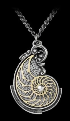 Alchemy Fibonacci's Golden Spiral Pendant — Inacoma