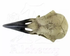 Inacoma Stores -Inacoma Stores EE7ADBEB B3DF 470F 86A7 BAB33B709C0E