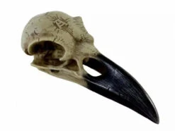 Alchemy Corvus Alchemica Raven Skull - Gothic Decorative Ornament — Inacoma