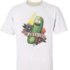 RICK AND MORTY - PICKLE RICK 4 — Inacoma