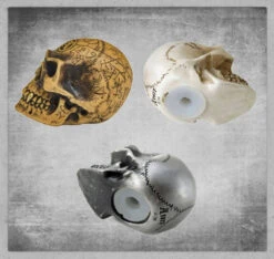 Skull Manual Gear Shift Knob — Inacoma -Inacoma Stores skull3